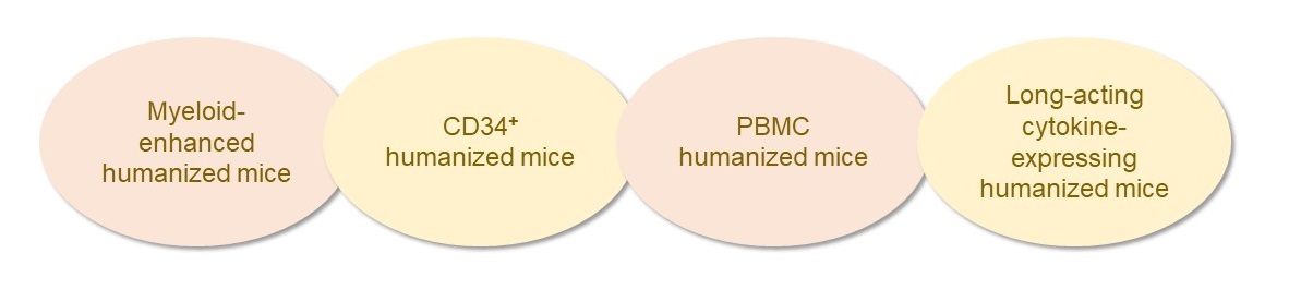 Several humanized mouse models. (Creative Biolabs Original)