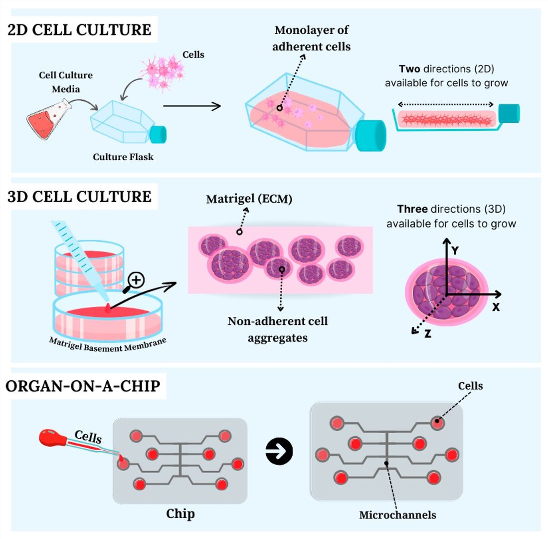 Fig 1. Cell culture: from Harrison to Organs-on-a-Chip. (OA Literature)