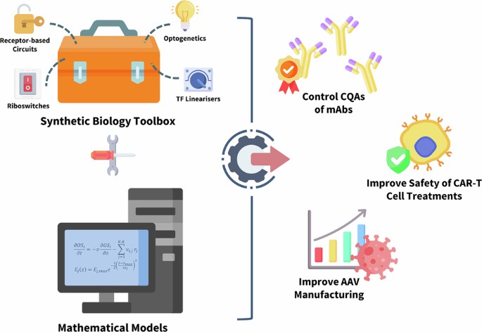 Fig 1. Application of mammalian synthetic gene circuits for biopharmaceutical manufacturing. (OA Literature)