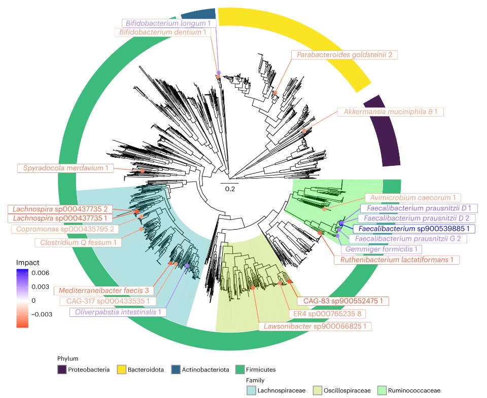 Fig.1 Analysis of phylogenetic tree. (Gunjur, et al., 2024)