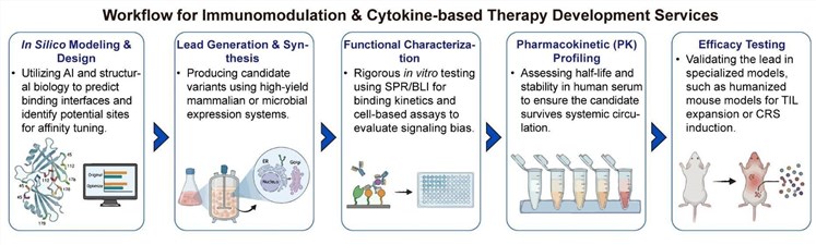 A simple procedure for immunomodulation and cytokine-based therapy development services. (Creative Biolabs Original)