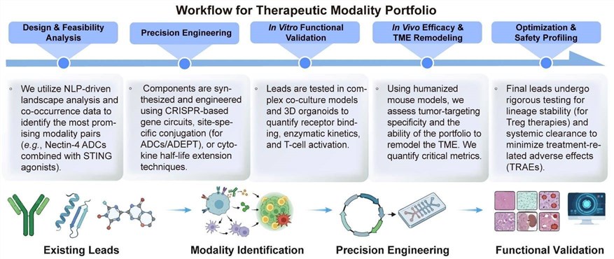 A simple procedure for therapeutic modality portfolio. (Creative Biolabs Original)