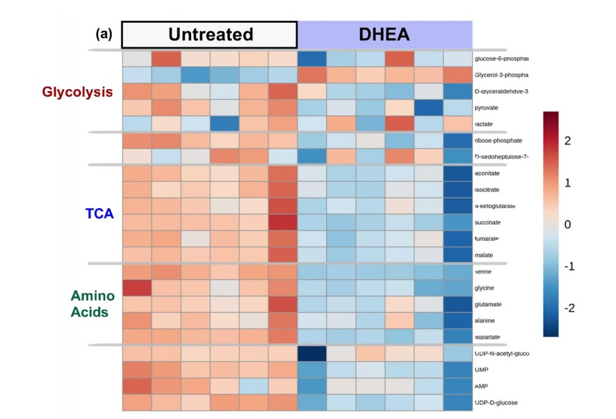 Fig.2 Study of 13C enrichment in metabolic profiles.