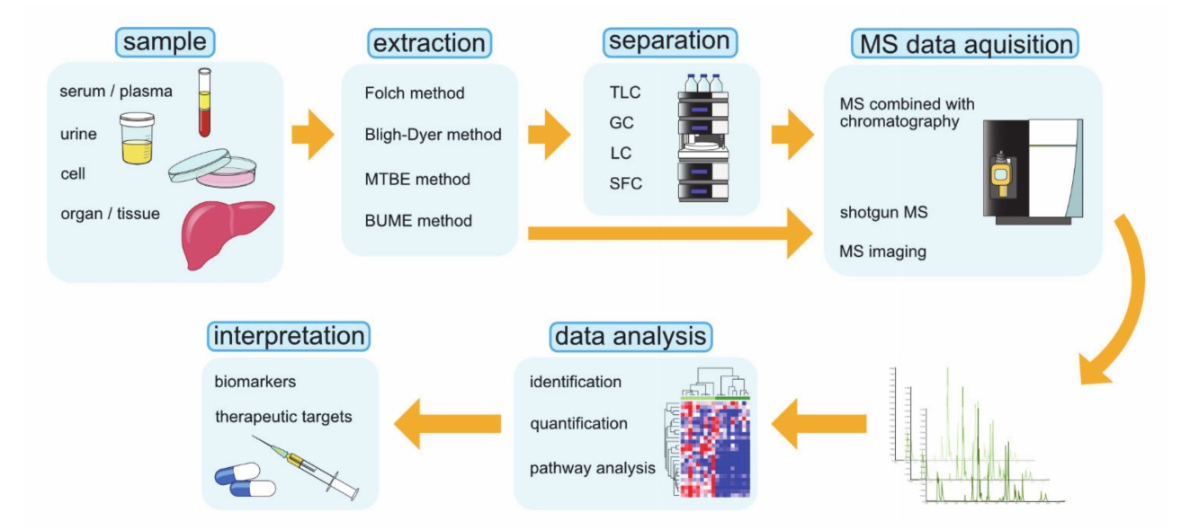 Fig.2 Lipidomics analysis pipeline.