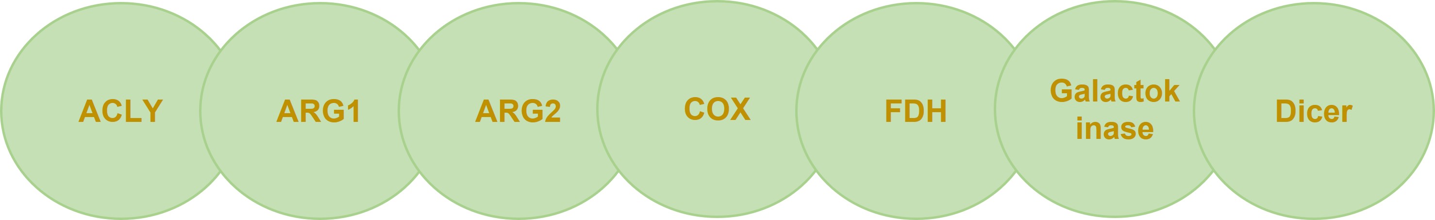 Diverse enzyme targets. (Creative Biolabs Original)