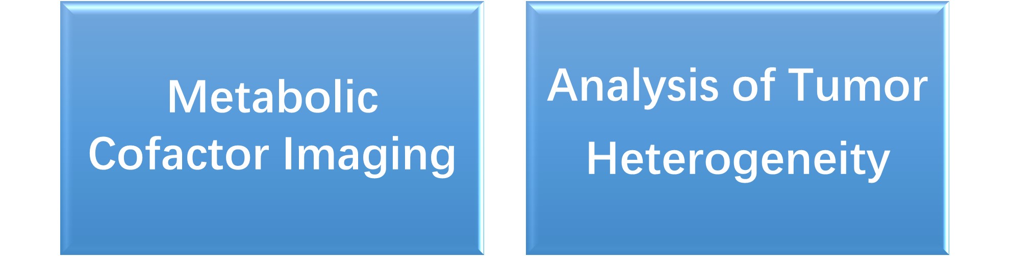 Fluorescence Lifetime Imaging Microscopy (FLIM) Service for Organelle Metabolic Research