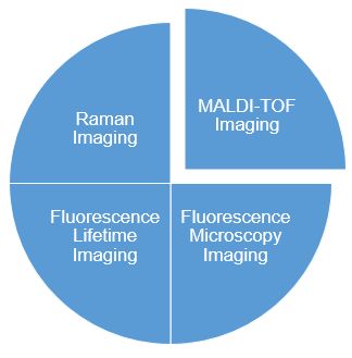 Several efficient ways to identify metabolic pathways within organelles. (Creative Biolabs Original)