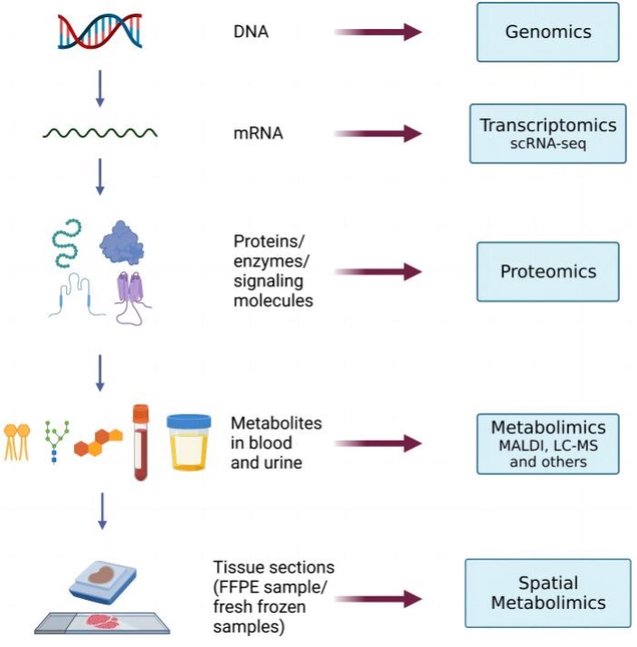 Manufacturing flow for the final spatial metabolic images from the tumor samples.