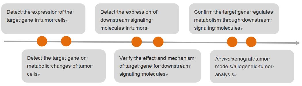 Fig.1 Investigation of the interplay between glucose metabolism and immune microenvironment in tumors. (Creative Biolabs Original)