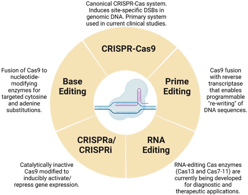 Applications of CRISPR/Cas9 system in functional assessment of metabolic genes.