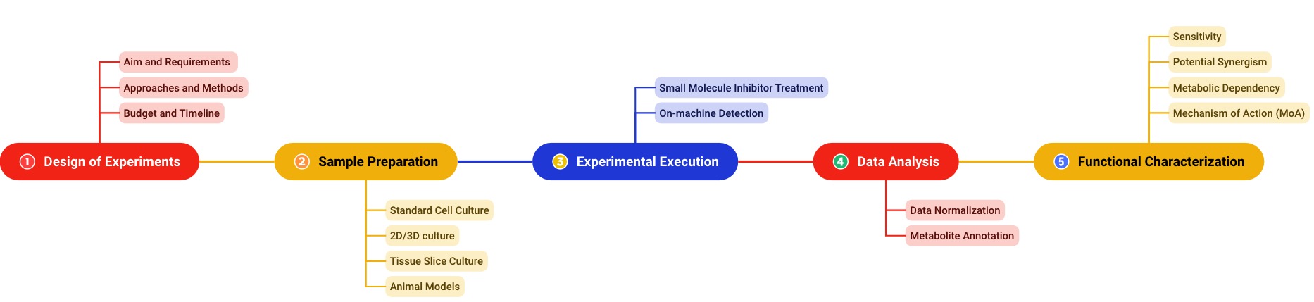 Workflow for small molecule inhibitor-based functional assessment.