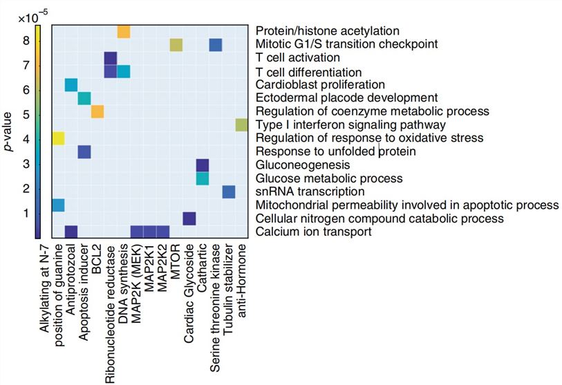 Heat map analysis of drug-transcriptional regulator over-representation associations.