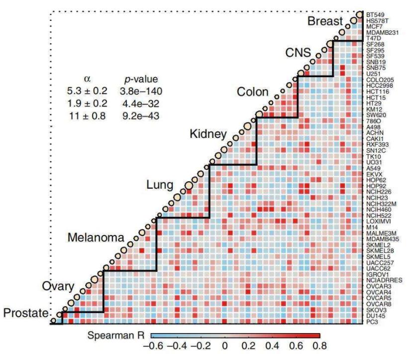 Pairwise similarity analysis of metabolome profiles among cancer cell lines.