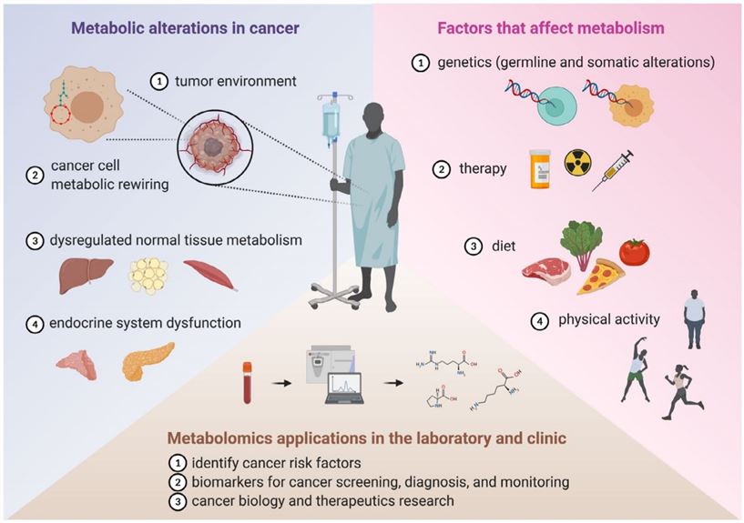 Cancer and metabolism interactions.