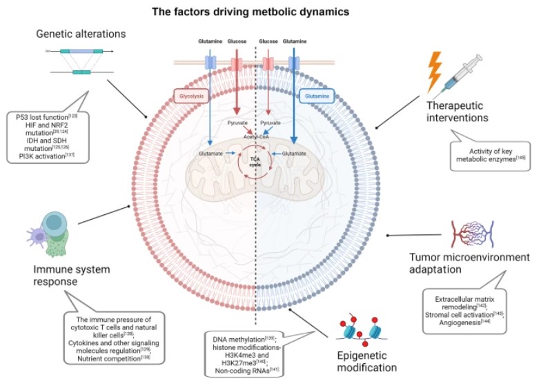 Fig.1 Metastatic dynamics of cancer cells. (OA Literature)