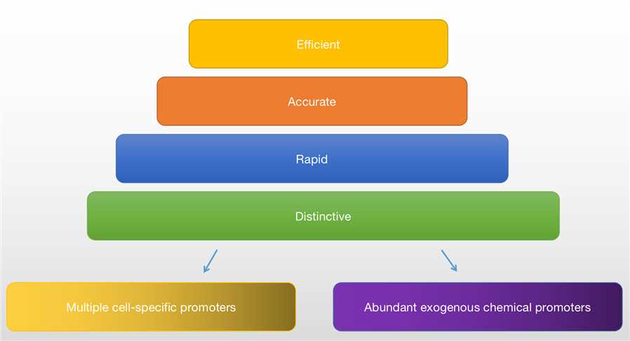 Advantages of Cre/LoxP Recombination System. (Creative Biolabs Original)