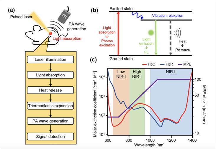 Synthetic Gene Circuits for Cancer Immunotherapy - Turning Cancer Cells Against Themselves.