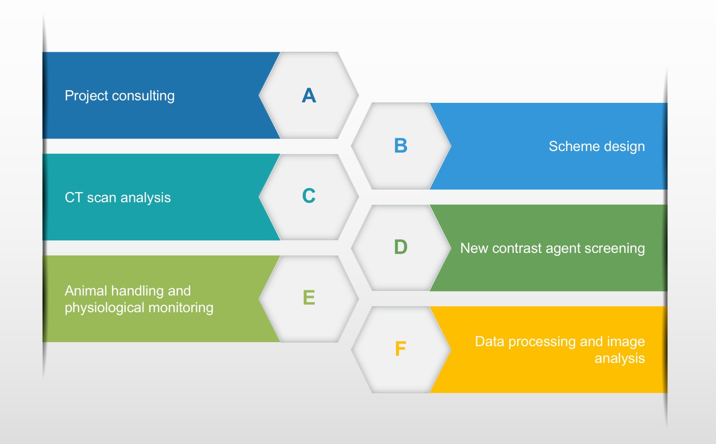 Service procedure-Creative Biolabs. (Creative Biolabs Original).