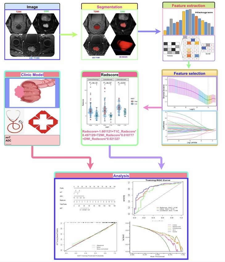 Workflow of Multi-Parametric MRI Radiomics for Predicting Ki-67 Expression in Rectal Cancer.