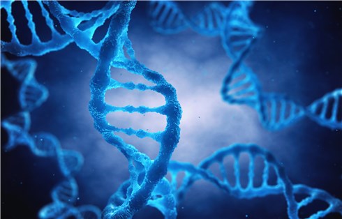 (Creative Biolabs Authorized)