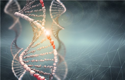 (Creative Biolabs Authorized)