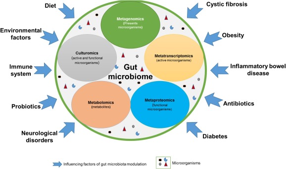 Understanding human gut microbiome.