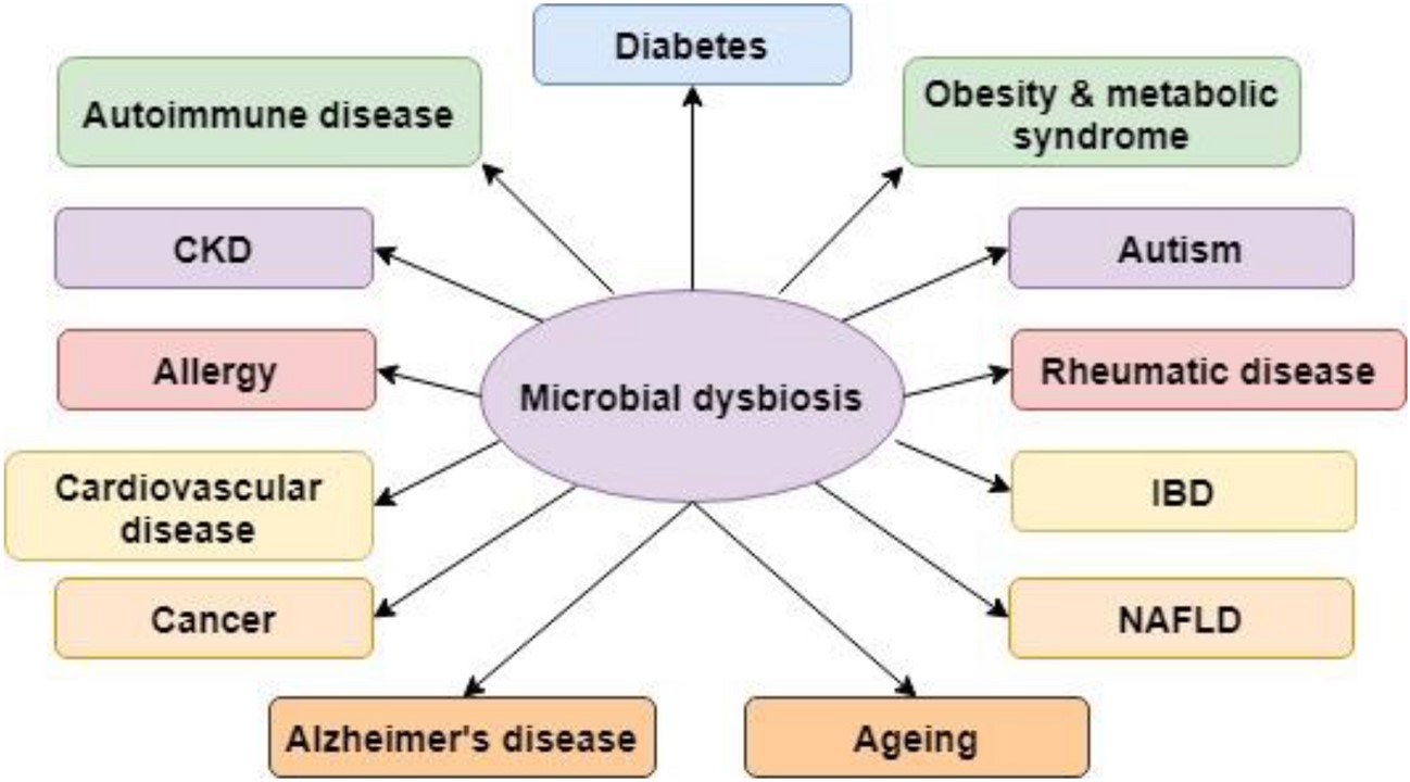 Microbial dysbiosis and diseases. 