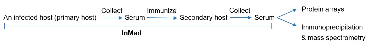 Fig.1 Indicators of gut dysbiosis. (Creative Biolabs Original)