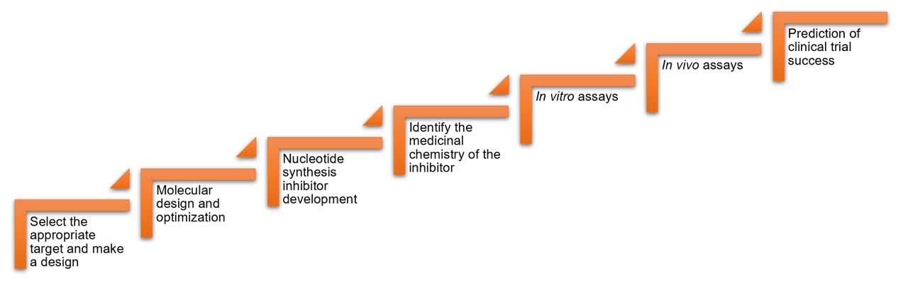 Fig. 2 Workflow of nucleotide synthesis inhibitor development service for cancer immunotherapy. (Creative Biolabs Original)