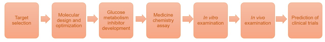 Fig. 2 Workflow of our glucose metabolism inhibitor development service for cancer immunotherapy. (Creative Biolabs Original)