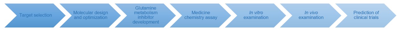 Fig. 2 Workflow of our glutamine metabolism inhibitor development service. (Creative Biolabs Original)