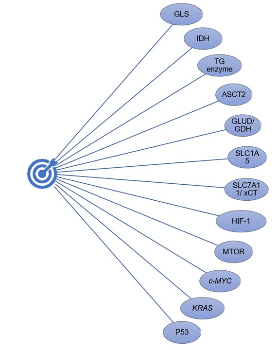 Fig. 3 Hot glutamine metabolism inhibitor development targets. (Creative Biolabs Original)