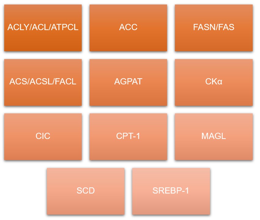 Fig. 2 Hot targets. (Creative Biolabs Original)