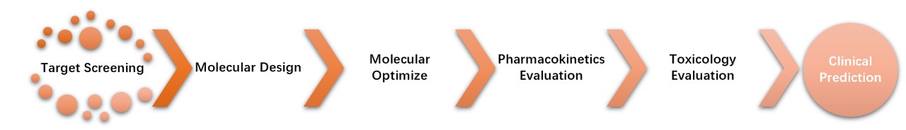 Fig. 2 Workflow. (Creative Biolabs Original)