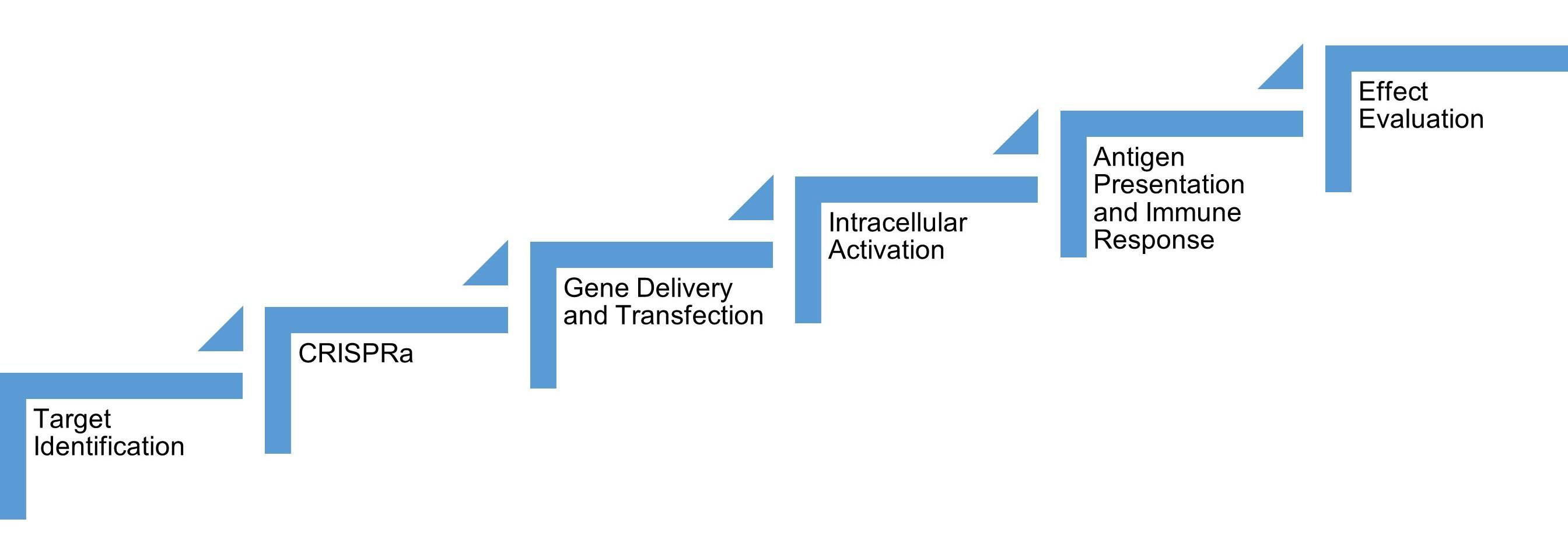 Fig.1 Technical scheme of the development of multiplexed endogenous gene activation-based cancer immunotherapy. (Creative Biolabs Original)
