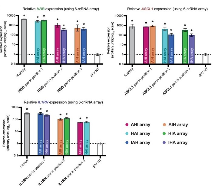 Fig.2 Multiplexed activation of endogenous genes. (Bryson, J.W., Auxillos, J.Y. & Rosser, S.J., 2022 l)