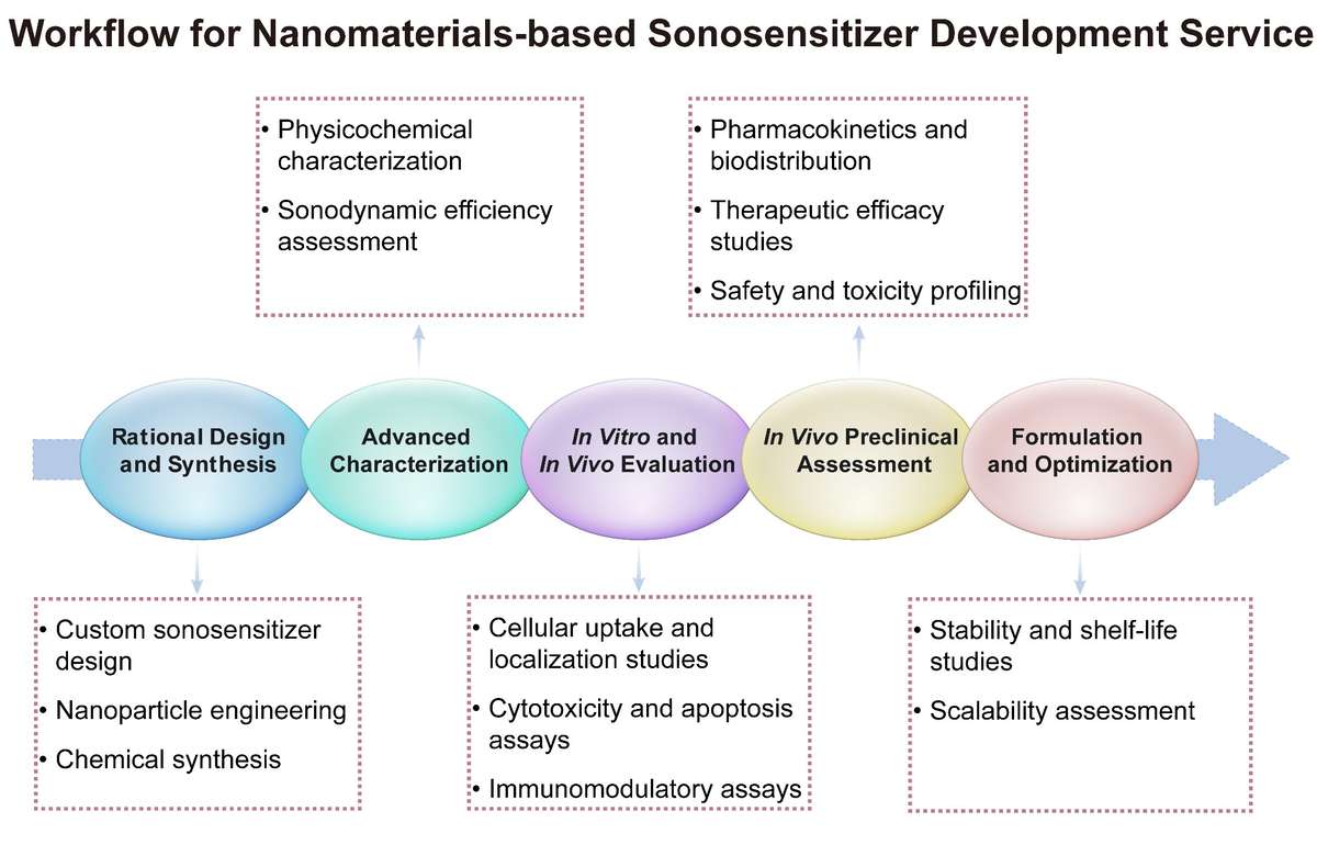 A simple procedure for nanomaterials-based sonosensitizer development service. (Creative Biolabs Original)