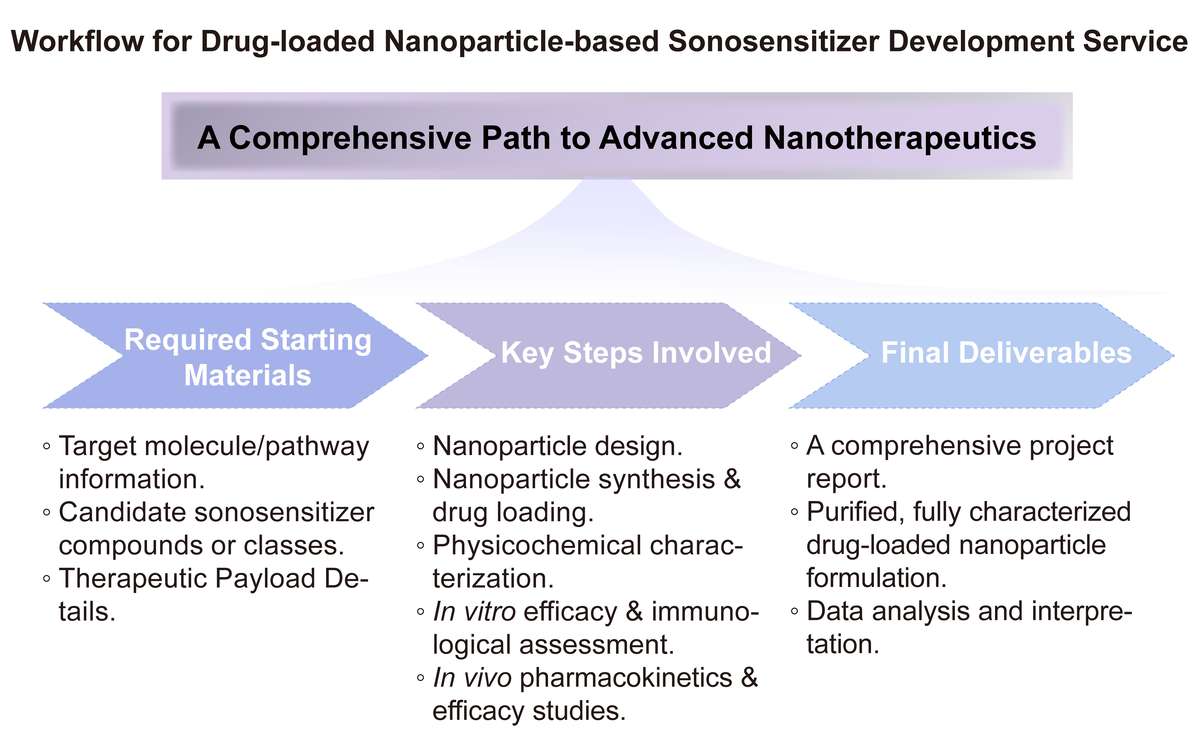 A simple procedure for drug-loaded nanoparticle-based sonosensitizer development service. (Creative Biolabs Original)