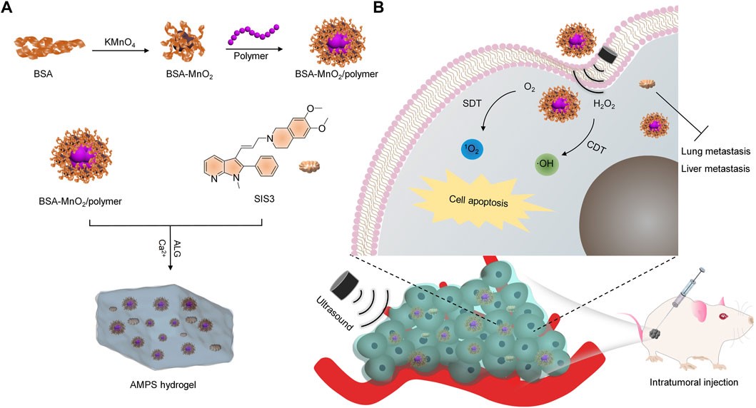 Fig.1 Combinational SDT-CDT for tumor therapy and metastasis inhibition. (OA Literature)