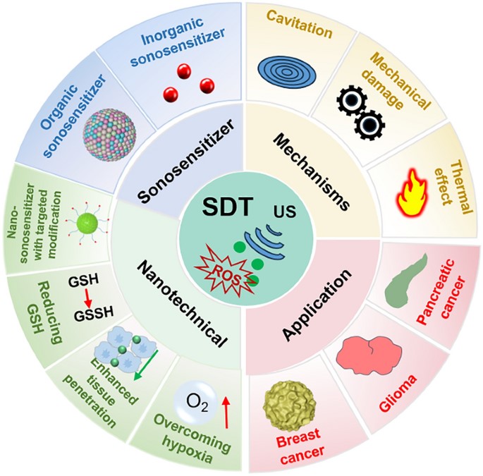 Fig.1 Key components and applications of SDT. (OA Literature)