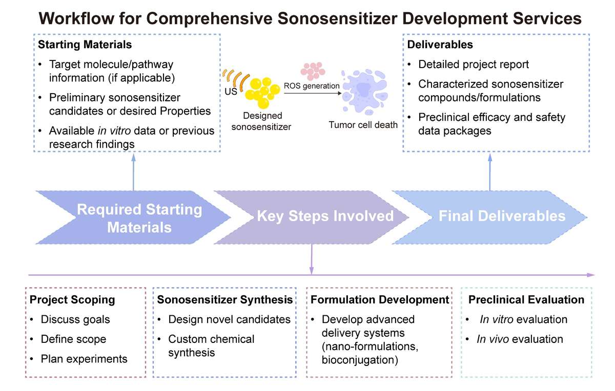 A simple procedure for comprehensive sonosensitizer development services. (Creative Biolabs Original)