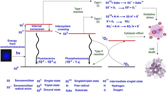 Fig.1 Microbubble sonoluminescence and sonosensitizer interactions. (OA Literature)