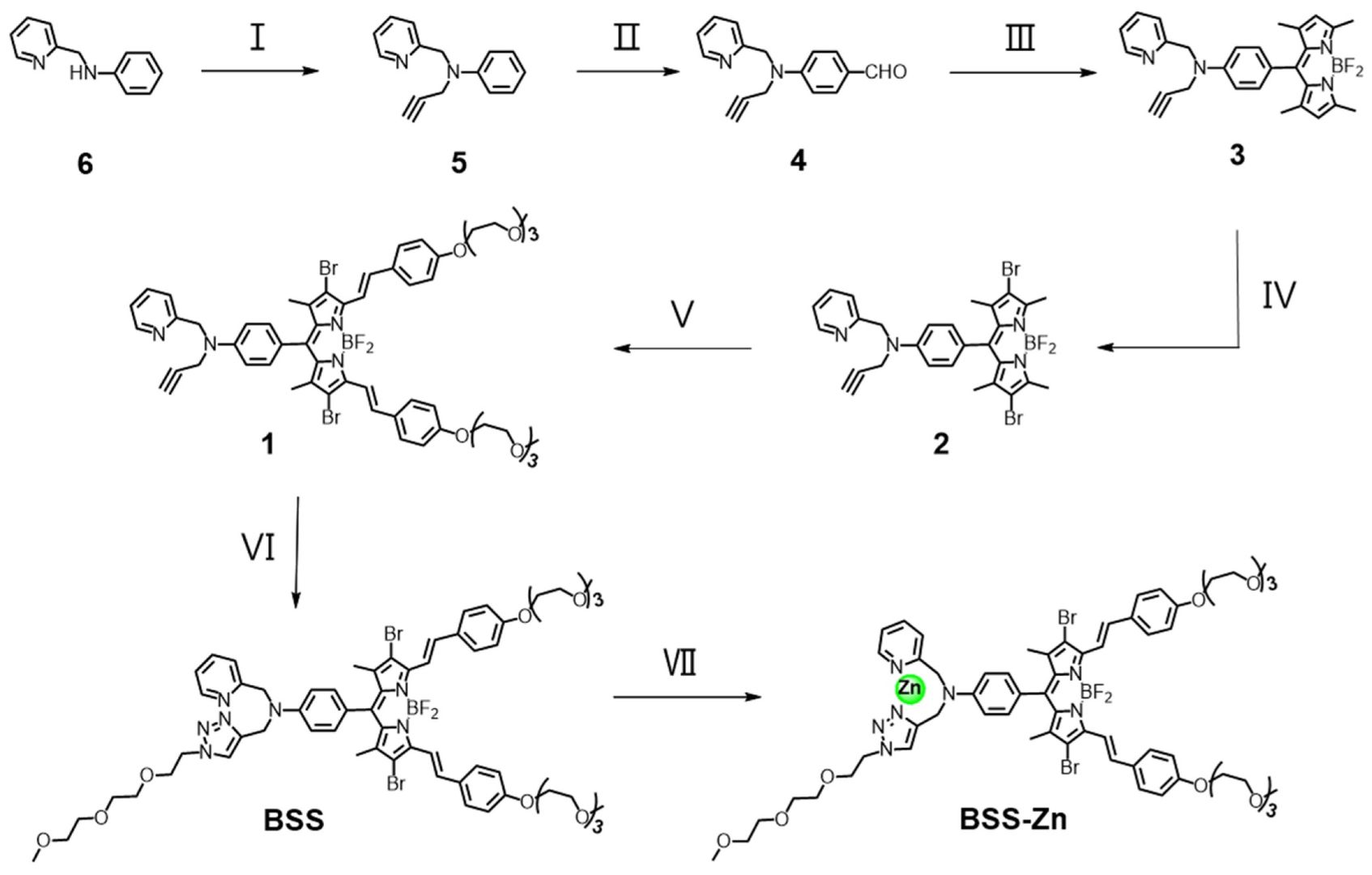 Fig.1 Synthesis of BSS-Zn and BSS. (OA Literature)