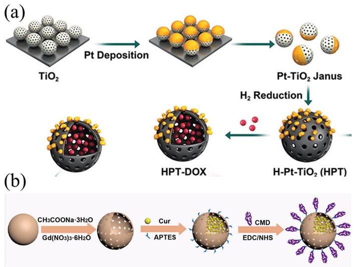 Fig.2 Advanced nanomaterials for sono-dynamic therapy combined with chemotherapy, homologous. (OA Literature)