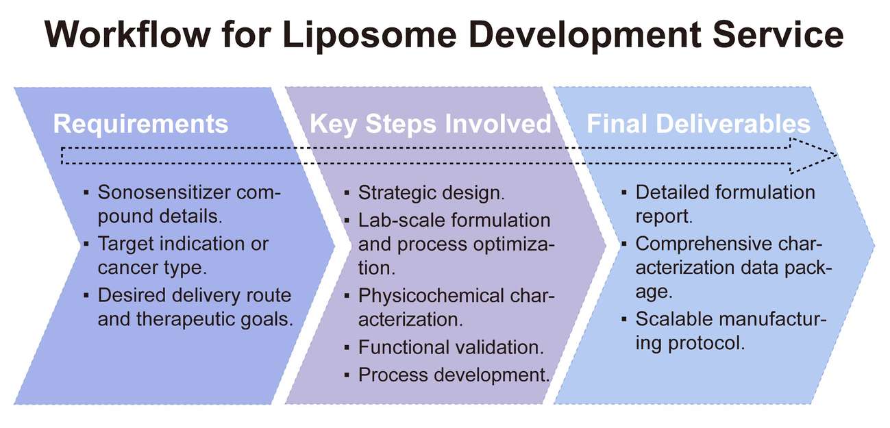 A simple procedure for liposome development service. (Creative Biolabs Original)