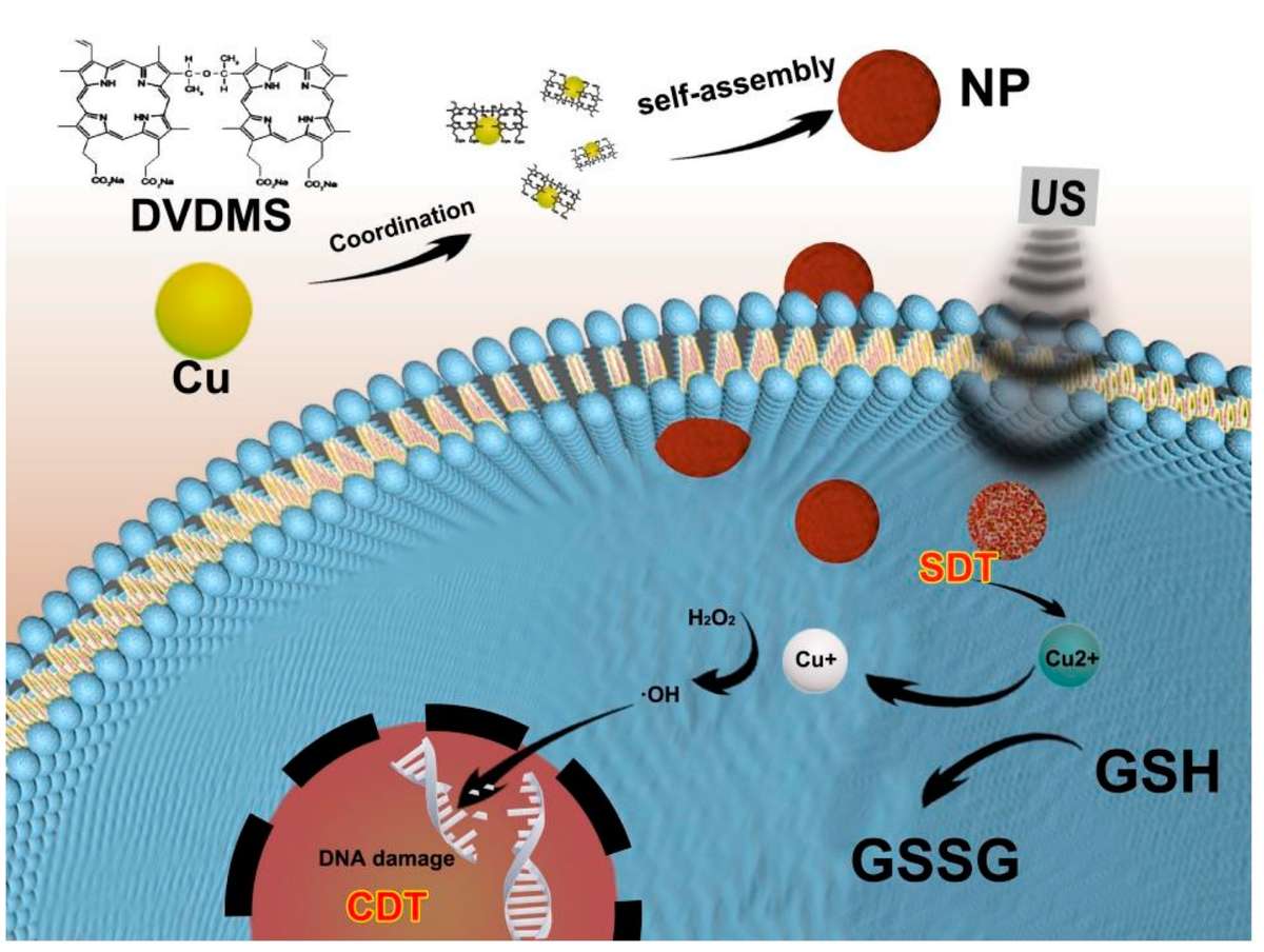 Fig.1 Schematic of Cu/DVDMS fabrication and its role in synergistic SDT/CDT anticancer therapy. (OA Literature)