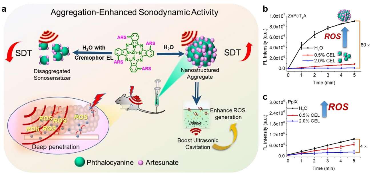 Fig.1 Phthalocyanine-artesunate couplets for sonodynamic therapy. (OA Literature)