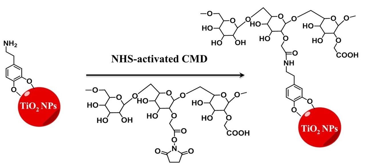 Fig.1 Functionalization of TiO2 nanoparticles. (OA Literature)