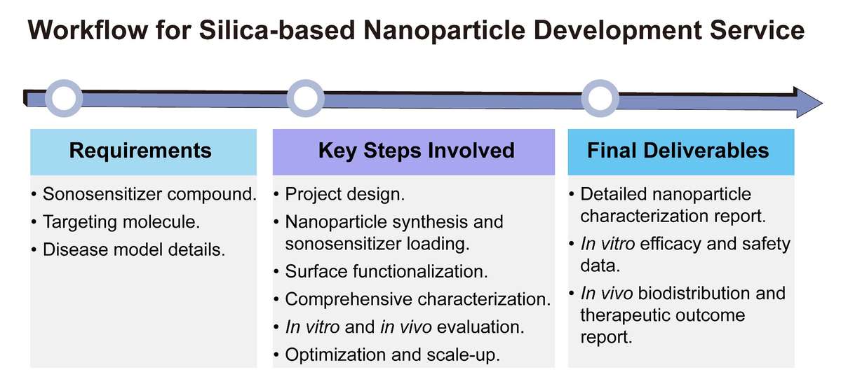 A simple procedure for silica-based nanoparticle development service. (Creative Biolabs Original)