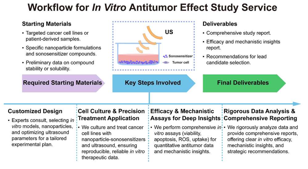 A simple procedure for in vitro antitumor efficacy study service for nanoparticle-assisted sonosensitizer. (Creative Biolabs Original)